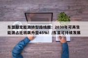 东盟敲定能源转型路线图：2030年可再生能源占比将飙升至45%！/东盟可持续发展