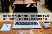 报告称：电力网压力加剧，爱尔兰数据中心吸引力“褪色”，行业前景引关注的简单介绍
