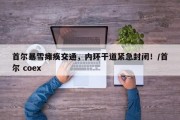 首尔暴雪瘫痪交通，内环干道紧急封闭！/首尔 coex