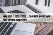 梅根低调力挺流行天后，与威廉王子亲疏关系引热议/梅根威廉姆斯吗