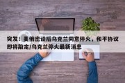 突发！美俄密谈后乌克兰同意停火，和平协议即将敲定/乌克兰停火最新消息
