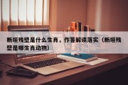 断垣残壁是什么生肖，作答解读落实（断垣残壁是哪生肖动物）