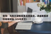 突发！乌克兰深陷贪腐丑闻漩涡，泽连斯基政权摇摇欲坠（ch乌克兰）