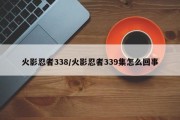 火影忍者338/火影忍者339集怎么回事