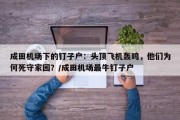 成田机场下的钉子户：头顶飞机轰鸣，他们为何死守家园？/成田机场最牛钉子户