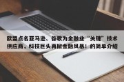 欧盟点名亚马逊、谷歌为金融业“关键”技术供应商，科技巨头再掀金融风暴！的简单介绍