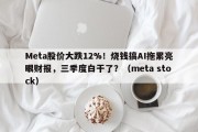 Meta股价大跌12%！烧钱搞AI拖累亮眼财报，三季度白干了？（meta stock）