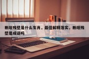 断垣残壁是什么生肖，最佳解释落实，断垣残壁是成语吗