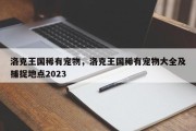 洛克王国稀有宠物，洛克王国稀有宠物大全及捕捉地点2023