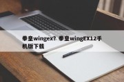 拳皇wingex？拳皇wingEX12手机版下载