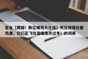 包含【震撼！数亿候鸟大迁徙】天空惊现壮丽鸟潮，它们正飞往温暖南方过冬！的词条