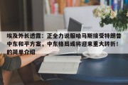 埃及外长透露：正全力说服哈马斯接受特朗普中东和平方案，中东格局或将迎来重大转折！的简单介绍