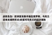 战局告急！欧洲盟友联手施压俄罗斯，乌克兰迎来关键转折点/欧盟对乌克兰的经济援助