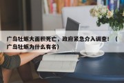 广岛牡蛎大面积死亡，政府紧急介入调查！（广岛牡蛎为什么有名）