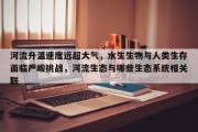 河流升温速度远超大气，水生生物与人类生存面临严峻挑战，河流生态与哪些生态系统相关联