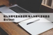 输入车牌号直接查违章/输入车牌号直接查违章nrb695
