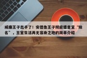 威廉王子出手了！安德鲁王子彻底遭皇室“除名”，王室生活再无容身之地的简单介绍