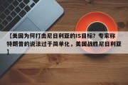 【美国为何打击尼日利亚的IS目标？专家称特朗普的说法过于简单化，美国战胜尼日利亚】
