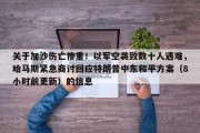 关于加沙伤亡惨重！以军空袭致数十人遇难，哈马斯紧急商讨回应特朗普中东和平方案（8小时前更新）的信息