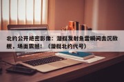 北约公开绝密影像：潜艇发射鱼雷瞬间击沉敌舰，场面震撼！（潜艇北约代号）