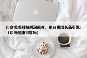 印企塔塔科技利润飙升，副业成增长新引擎！（印塔健康可靠吗）