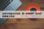 无所不知是什么生肖，第一析释落实（无所不知是哪个生肖）