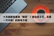 十月底瓢虫集体“搬家”？窗台放上它，家里一只不剩！的简单介绍