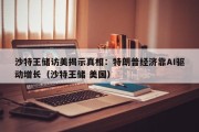 沙特王储访美揭示真相：特朗普经济靠AI驱动增长（沙特王储 美国）