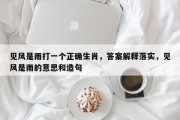 见风是雨打一个正确生肖，答案解释落实，见风是雨的意思和造句