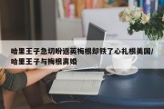 哈里王子急切盼返英梅根却铁了心扎根美国/哈里王子与梅根离婚